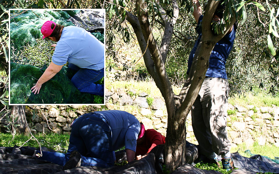 Terre di Trente - Trente and Filip