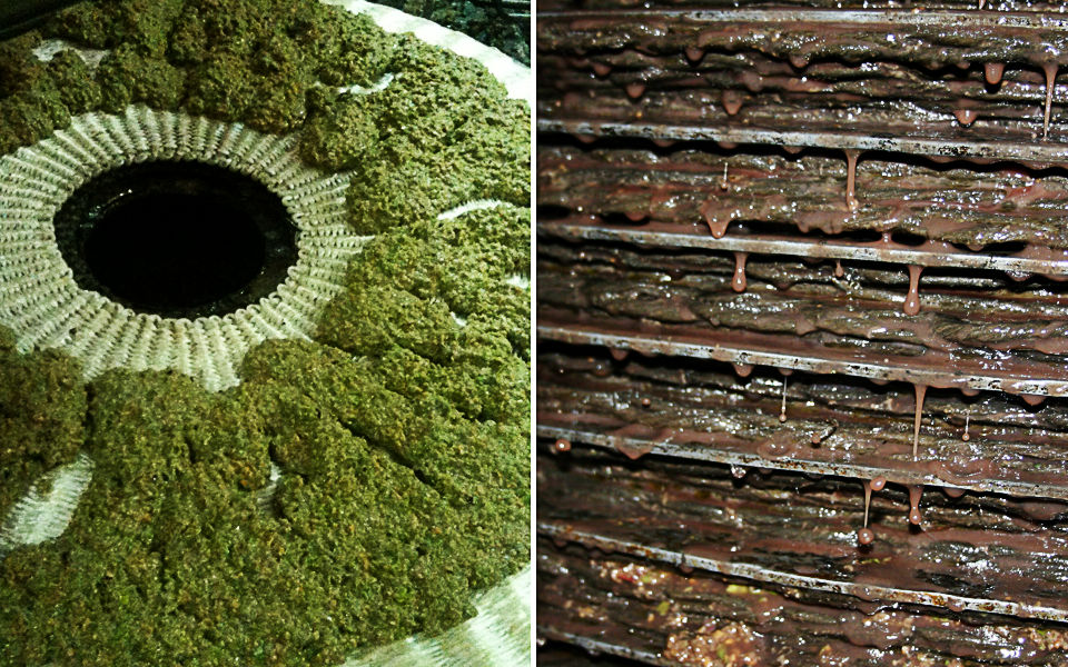 Terre di Trente - Trente and Filip