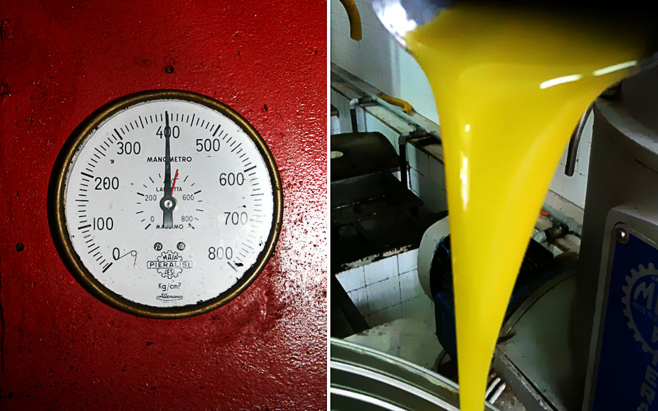 Terre di Trente - Trente and Filip